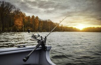 The Ultimate Guide to Boat Fishing The Ultimate Guide to Boat Fishing