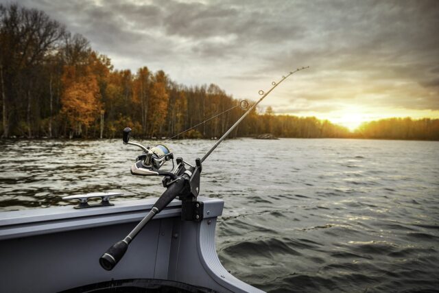 The Ultimate Guide to Boat Fishing